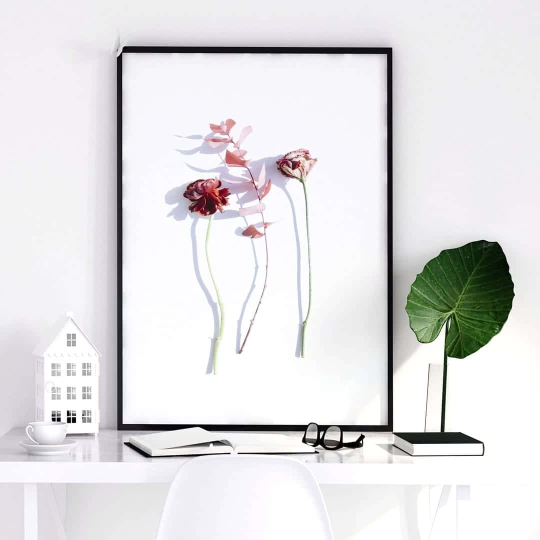 Flowers Artwork | Floral Nature Wall Art | Single, A2 at XILEF Art